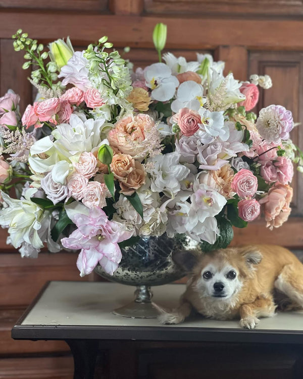 Designer’s Choice White and Pink Grand floral arrangement, a stunning blend of elegant white and pink blooms, perfect for weddings, anniversaries, and grand celebrations, available for same-day delivery in Los Angeles.