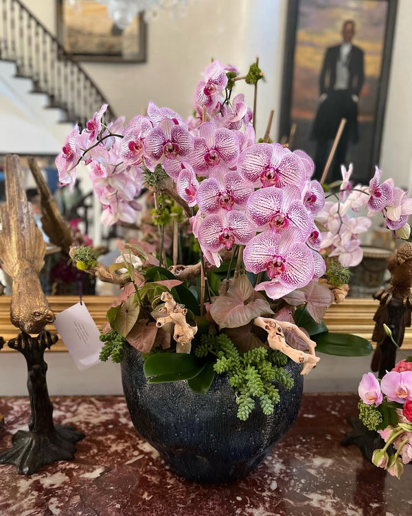 Purple Orchid floral arrangement, featuring stunning purple orchids, perfect for luxury gifts, anniversaries, or special occasions, available for same-day delivery in Los Angeles.